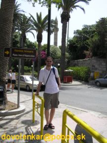 Palmová alej a smerová tabuľa k Hipokratovmu platanu