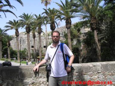 Palmová alej v Kos Town