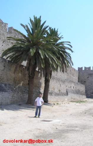 Palmy pri hradbách starého mesta Rhodos